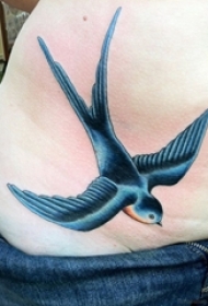 女生背部彩绘水彩素描创意文艺燕子精致纹身图片