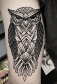 女生手臂上黑灰素描点刺技巧几何元素创意猫头鹰纹身图片