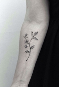 女生手臂上黑色素描创意花束纹身图片
