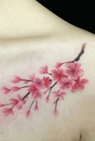 梅花纹身 女生肩部彩色的梅花纹身图片