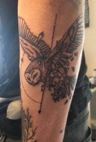 男生手臂上黑色线条几何元素小鸟纹身图片