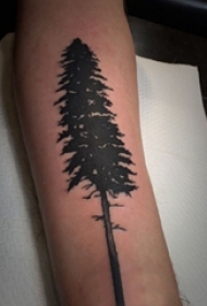 男生手臂上黑色点刺简单抽象线条植物松树纹身图片