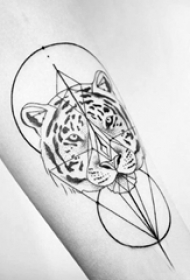 多款黑色线条素描点刺技巧几何元素霸气老虎动物纹身图案