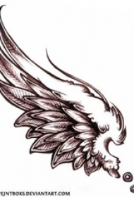 黑色的素描风格羽毛大型天使翅膀纹身手稿