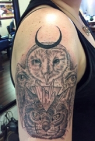 男生手臂上黑灰点刺几何线条小动物猫头鹰和猫咪纹身图片