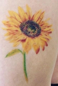 向日葵纹身 女生大腿上向日葵纹身图片