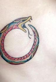 男生胸部彩绘几何抽象线条小动物蛇纹身图片