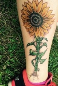 女生小腿上彩绘水彩素描文艺唯美向日葵纹身图片