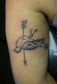 男生小腿上黑灰点刺简单线条箭和鸟纹身图片