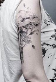 女生手臂上黑灰点刺植物大树纹身图片