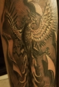 男生手臂上黑灰色极具创意的凤凰展翅纹身图片