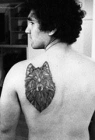 后背纹身男 男生后背上黑色的狼头纹身图片