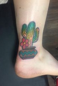 仙人掌纹身 女生脚踝上彩色的仙人掌纹身图片
