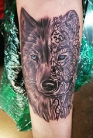 百乐动物纹身 男生手臂上拼接狼头纹身图片