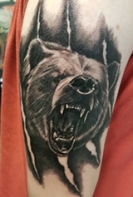 百乐动物纹身 男生手臂上黑色的熊纹身图片