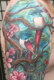 纹身鸟 男生手臂上文艺花朵纹身鸟图片