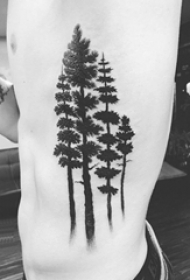 纹身黑色 男生侧腰上黑色的大树纹身图片
