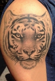 双大臂纹身 男生大臂上黑色的老虎纹身图片