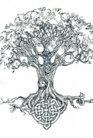 树纹身 简单线条纹身生命树纹身手稿