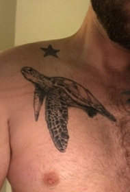 肩膀简约纹身 男生肩部五角星和海龟纹身图片