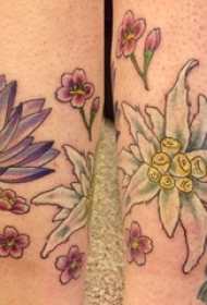 文艺花朵纹身 女生小腿上文艺花朵纹身彩色图案