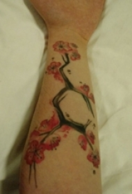 手臂纹身素材 女生手臂上化学元素和樱花纹身图片