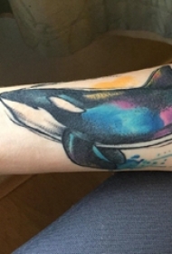 纹身鲸鱼 男生手臂上鲸鱼纹身图案