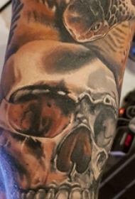 手臂纹身素材 男生手臂上蛇和骷髅纹身图片