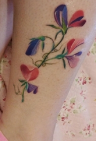 小腿对称纹身 男生小腿上彩色的花朵纹身图片