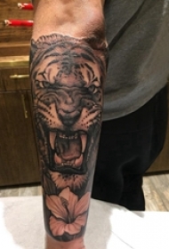 手臂纹身素材 男生手臂上花朵和老虎纹身图片