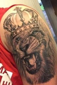 狮子头纹身图片 男生手臂上狮子纹身图案