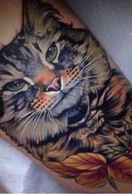 小猫咪纹身 女生小腿上猫咪纹身图案