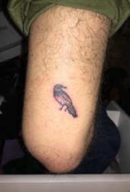 小鸟3d纹身 男生腿部黑色的小鸟纹身图片