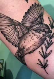 手臂纹身素材 男生手臂上植物和鸟纹身图片