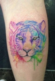 小腿对称纹身 女生小腿上彩色的狮子纹身图片