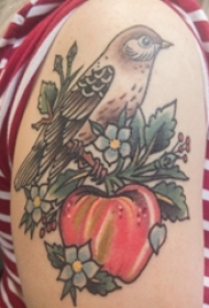 鸟纹身 女生手臂上小鸟纹身图案