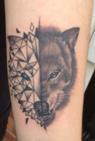 狼纹身 男生手臂上狼纹身动物纹身图片