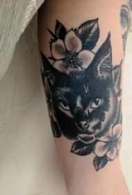 小清新猫咪纹身 女生手臂上猫咪纹身图案