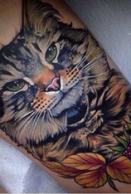 小猫咪纹身 男生小腿上猫纹身图片