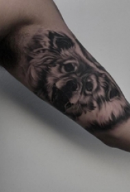 纹身点刺技巧 男生手臂上黑色的狼纹身图片