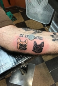 手臂纹身素材 男生手臂上彩色的小狗纹身图片
