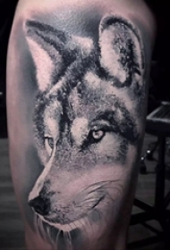 狼纹身 男生小腿上狼头纹身图案