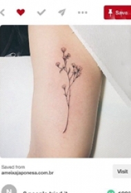 纹身小花朵 女生手臂上文艺花朵纹身图片