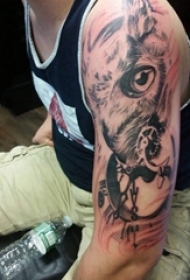 纹身老鹰图案 男生手臂上动物纹身老鹰纹身图案