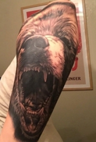 熊纹身 男生手臂上熊纹身动物图片