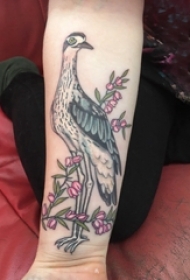 小动物纹身 女生手臂上花朵和鸟纹身图片
