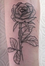 玫瑰纹身 女生手臂上文艺花朵纹身图案
