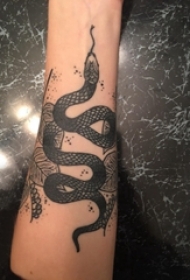 纹身动物 男生手臂上叶子和蛇纹身图片