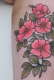 花朵纹身 男生小腿上彩色的花朵纹身图片