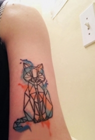 几何动物纹身 女生手臂上彩色的猫咪纹身图片